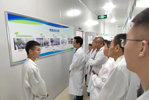 濰坊新增4處全省高素質(zhì)農(nóng)民培育省級示范培訓(xùn)基地