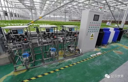 新型植物工廠,解決未來人類糧食問題